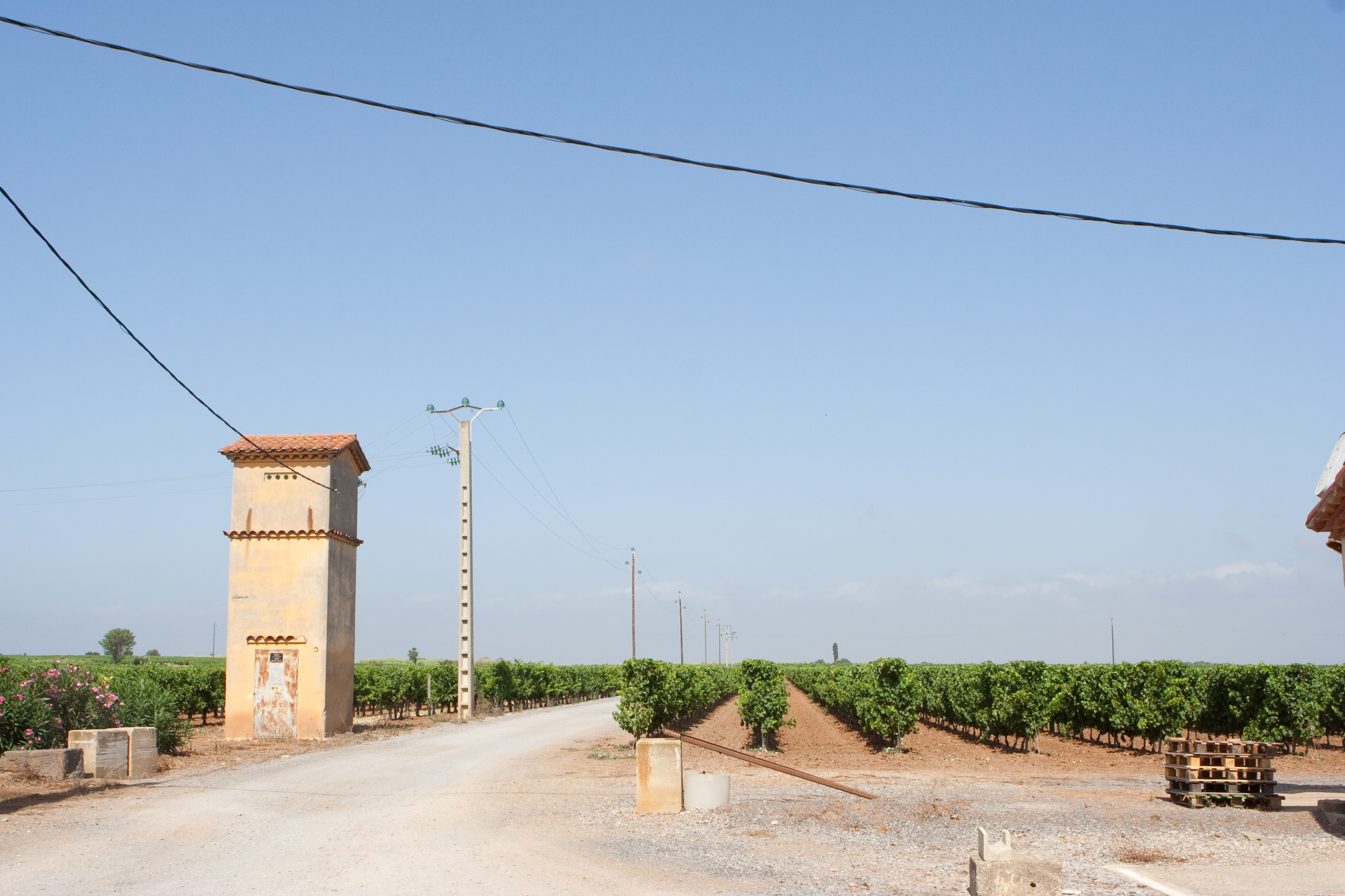 vakantie 2009 wijnproeven-004.jpg